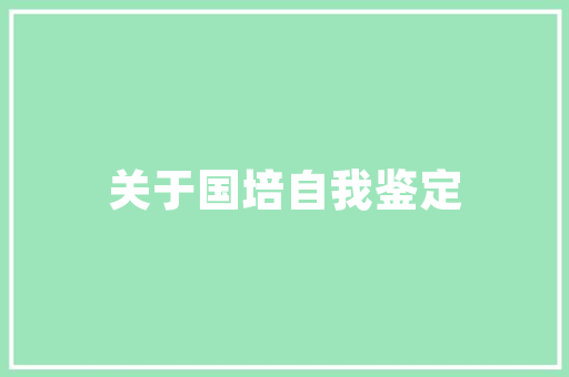 Excel查看代码的艺术数据处理与可视化背后的秘密