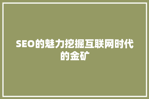SEO的魅力挖掘互联网时代的金矿