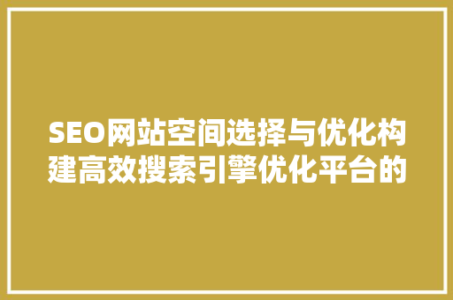 SEO网站空间选择与优化构建高效搜索引擎优化平台的方法