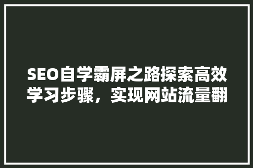 SEO自学霸屏之路探索高效学习步骤，实现网站流量翻倍