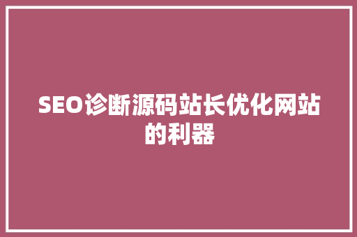 SEO诊断源码站长优化网站的利器