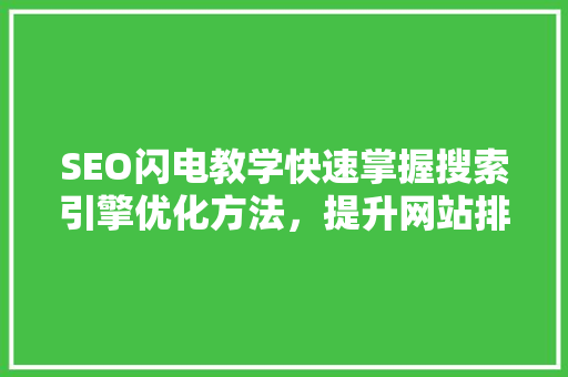 SEO闪电教学快速掌握搜索引擎优化方法，提升网站排名