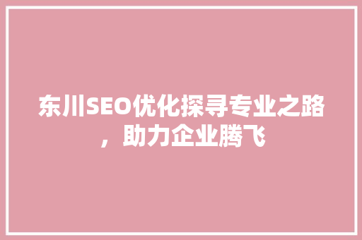 东川SEO优化探寻专业之路，助力企业腾飞