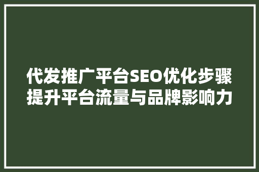 代发推广平台SEO优化步骤提升平台流量与品牌影响力的方法