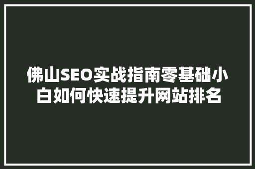 佛山SEO实战指南零基础小白如何快速提升网站排名