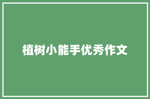 H5代码的魅力如何打造互动与创意兼具的数字体验