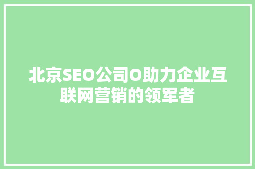 北京SEO公司O助力企业互联网营销的领军者
