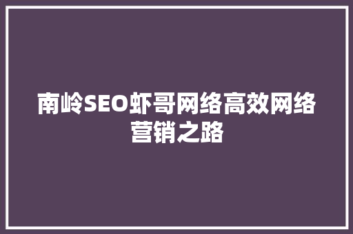 南岭SEO虾哥网络高效网络营销之路