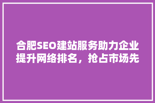 合肥SEO建站服务助力企业提升网络排名，抢占市场先机