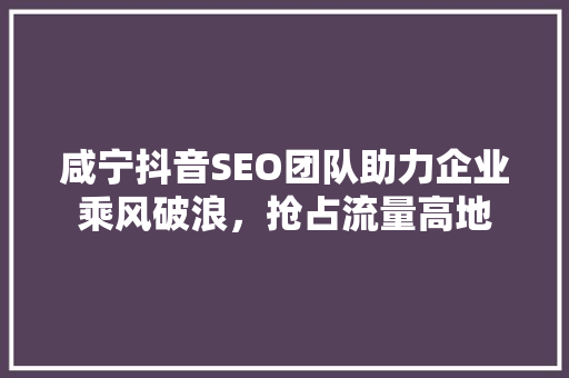咸宁抖音SEO团队助力企业乘风破浪，抢占流量高地