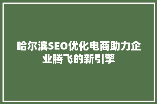 哈尔滨SEO优化电商助力企业腾飞的新引擎