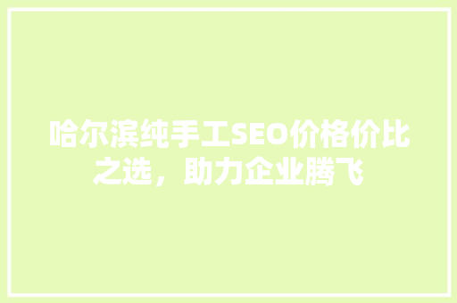 哈尔滨纯手工SEO价格价比之选，助力企业腾飞