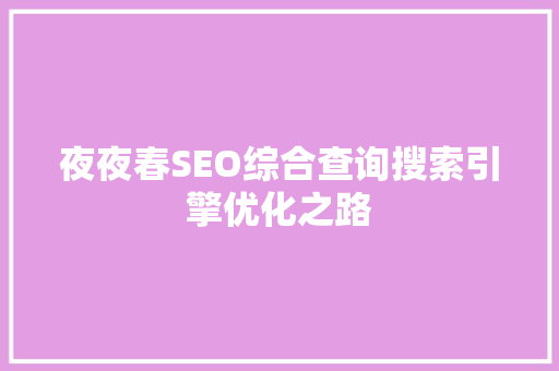 夜夜春SEO综合查询搜索引擎优化之路