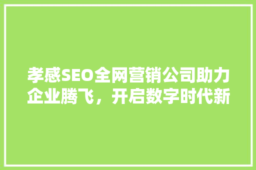 孝感SEO全网营销公司助力企业腾飞，开启数字时代新篇章