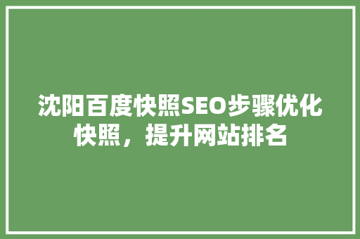 沈阳百度快照SEO步骤优化快照，提升网站排名