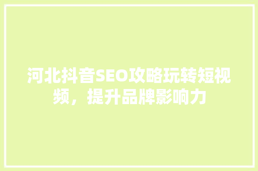 河北抖音SEO攻略玩转短视频，提升品牌影响力  第1张
