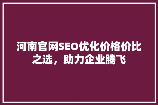 河南官网SEO优化价格价比之选，助力企业腾飞