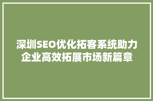 深圳SEO优化拓客系统助力企业高效拓展市场新篇章