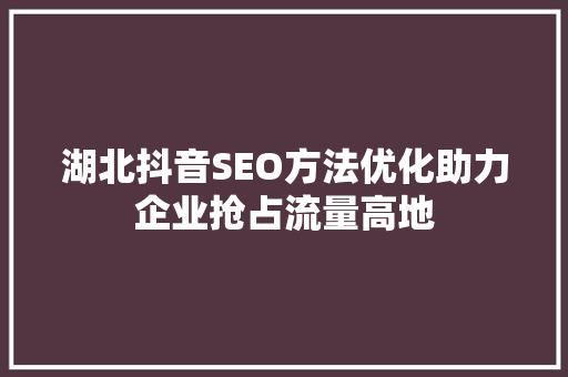 湖北抖音SEO方法优化助力企业抢占流量高地