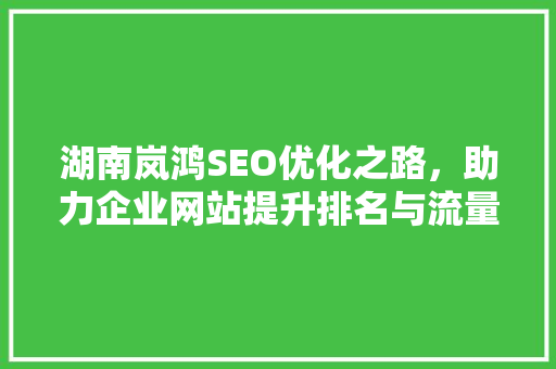 湖南岚鸿SEO优化之路，助力企业网站提升排名与流量