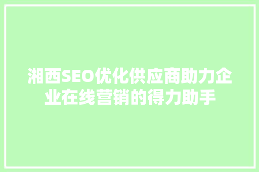 湘西SEO优化供应商助力企业在线营销的得力助手