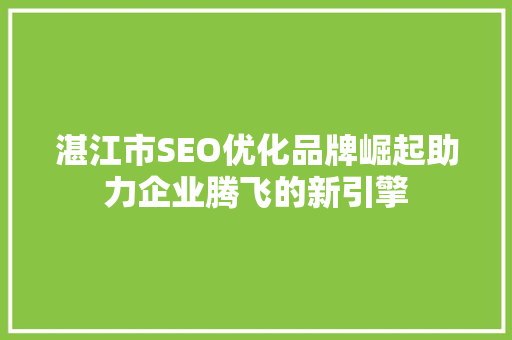 湛江市SEO优化品牌崛起助力企业腾飞的新引擎
