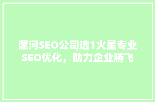 漯河SEO公司选1火星专业SEO优化，助力企业腾飞