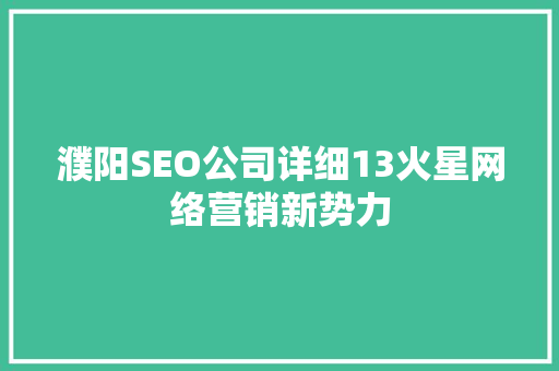 濮阳SEO公司详细13火星网络营销新势力