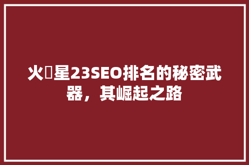 火乛星23SEO排名的秘密武器，其崛起之路