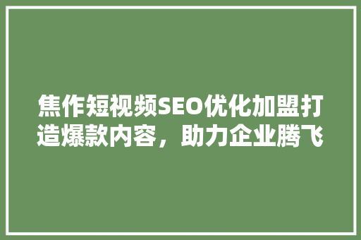 焦作短视频SEO优化加盟打造爆款内容，助力企业腾飞