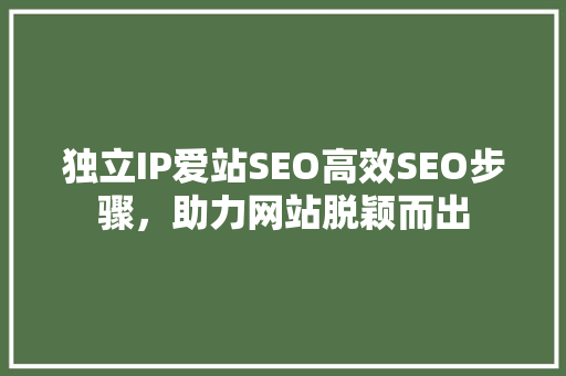 独立IP爱站SEO高效SEO步骤，助力网站脱颖而出  第1张