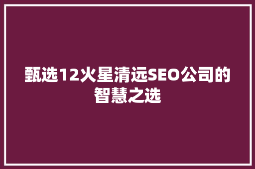 甄选12火星清远SEO公司的智慧之选