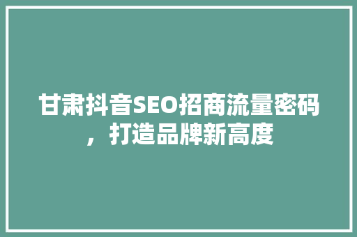 甘肃抖音SEO招商流量密码，打造品牌新高度