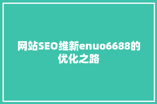 网站SEO维新enuo6688的优化之路