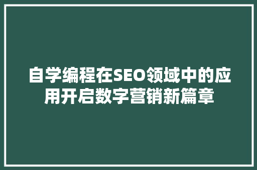 自学编程在SEO领域中的应用开启数字营销新篇章