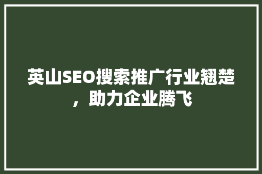 英山SEO搜索推广行业翘楚，助力企业腾飞