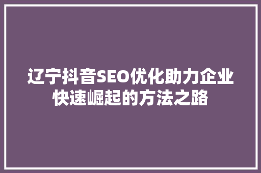 辽宁抖音SEO优化助力企业快速崛起的方法之路