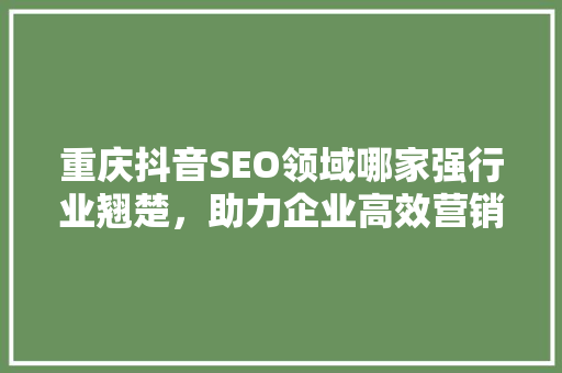重庆抖音SEO领域哪家强行业翘楚，助力企业高效营销