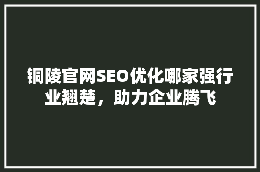 铜陵官网SEO优化哪家强行业翘楚，助力企业腾飞