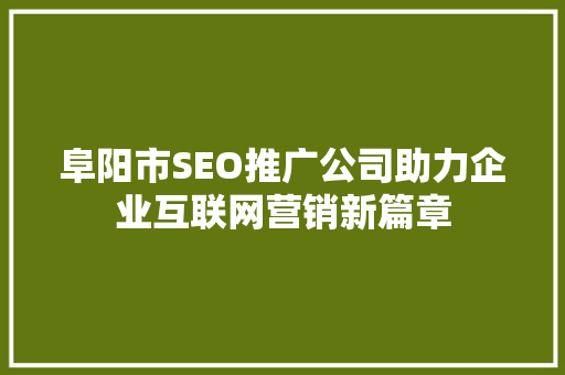 阜阳市SEO推广公司助力企业互联网营销新篇章
