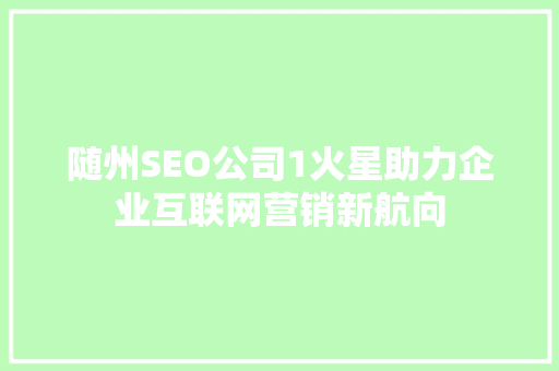 随州SEO公司1火星助力企业互联网营销新航向