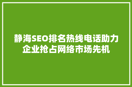静海SEO排名热线电话助力企业抢占网络市场先机