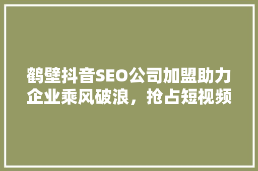 鹤壁抖音SEO公司加盟助力企业乘风破浪，抢占短视频营销制高点