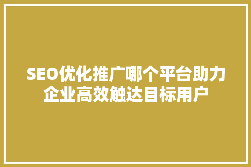 SEO优化推广哪个平台助力企业高效触达目标用户