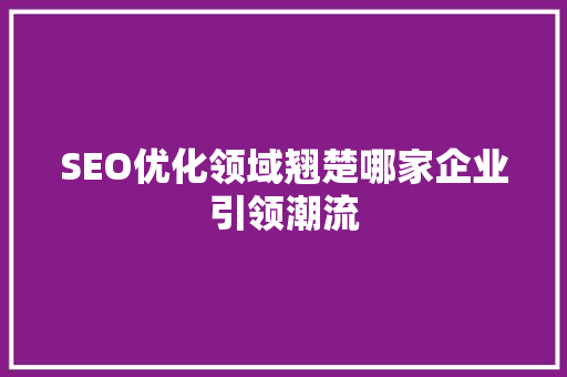 SEO优化领域翘楚哪家企业引领潮流