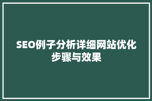 SEO例子分析详细网站优化步骤与效果