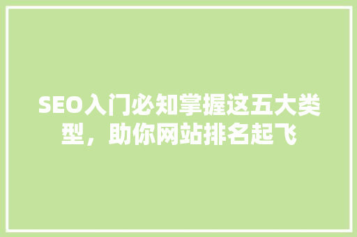SEO入门必知掌握这五大类型，助你网站排名起飞