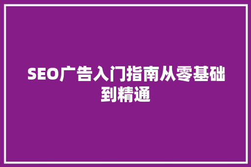 SEO广告入门指南从零基础到精通