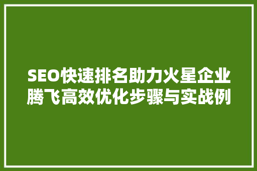 SEO快速排名助力火星企业腾飞高效优化步骤与实战例子
