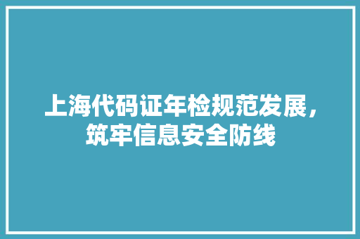 上海代码证年检规范发展，筑牢信息安全防线